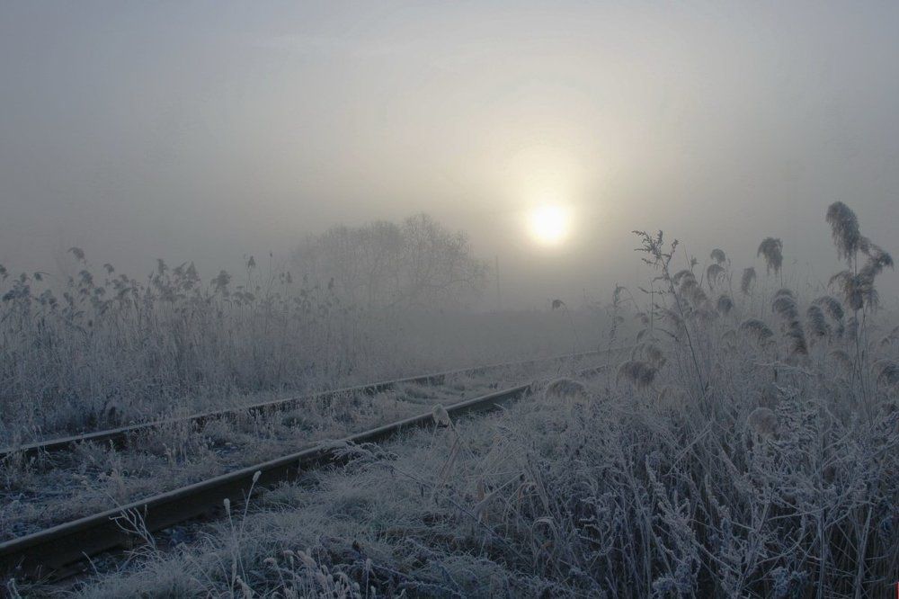 Дорога на Хогвартс ...