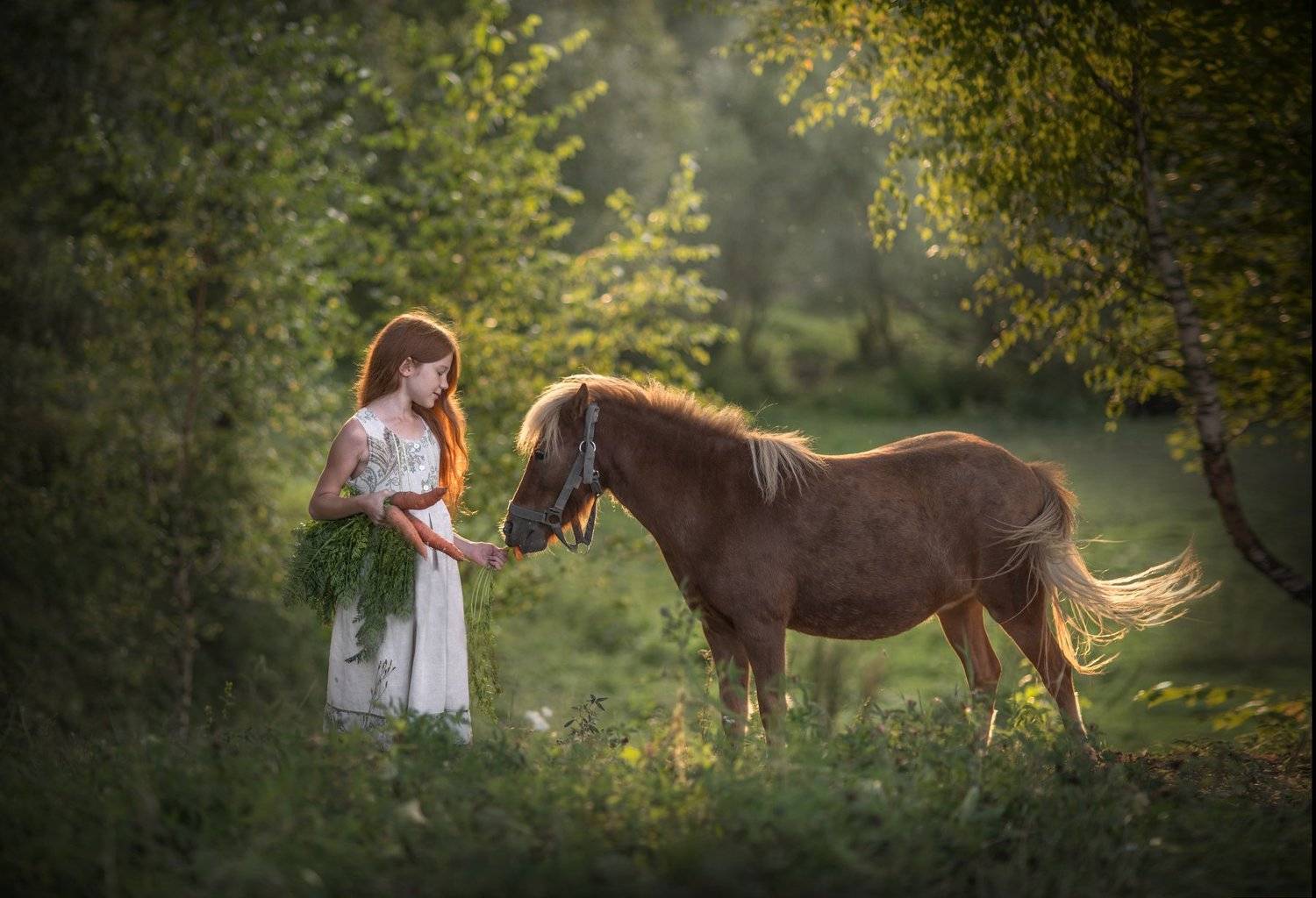 Солнечные модели