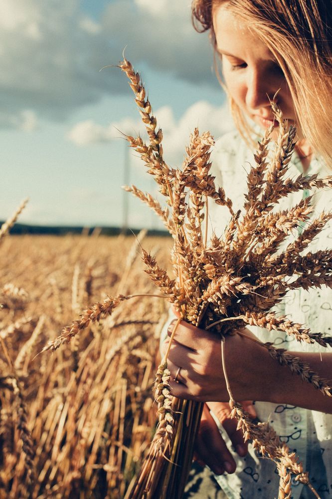 Красота вокруг нас