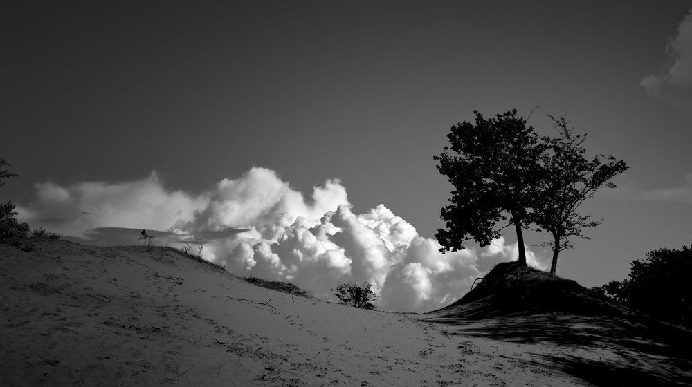 Cloud Tree