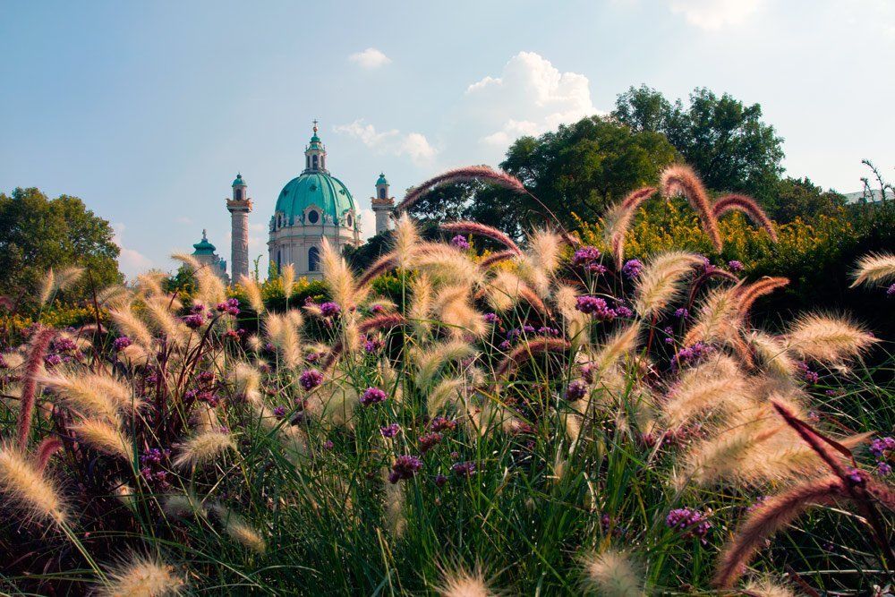Венский вальс