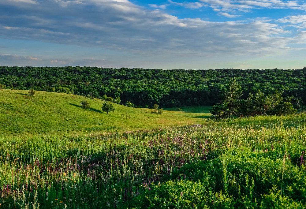 Photograph by Анна