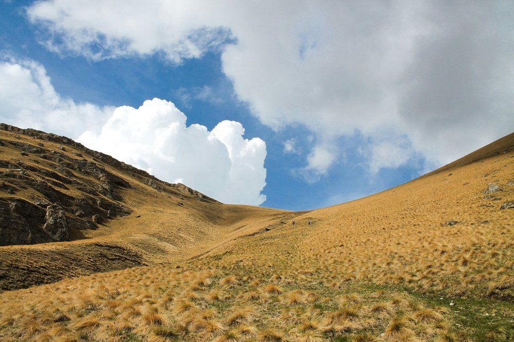 Только вверх .