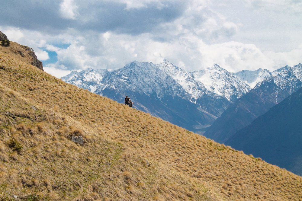 Только вверх