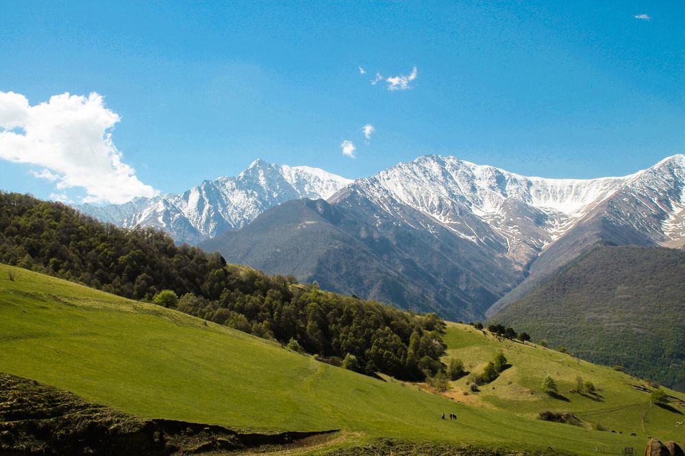 Начало пути.