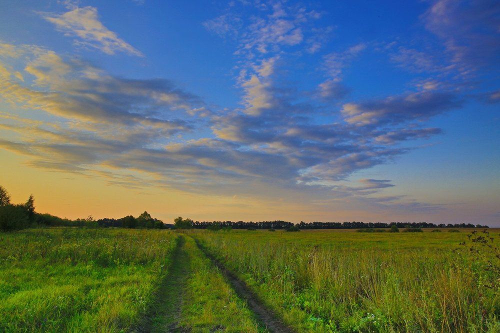 Дорога в уходящее лето