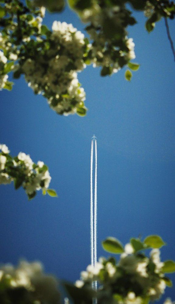 Первым делом самолеты.