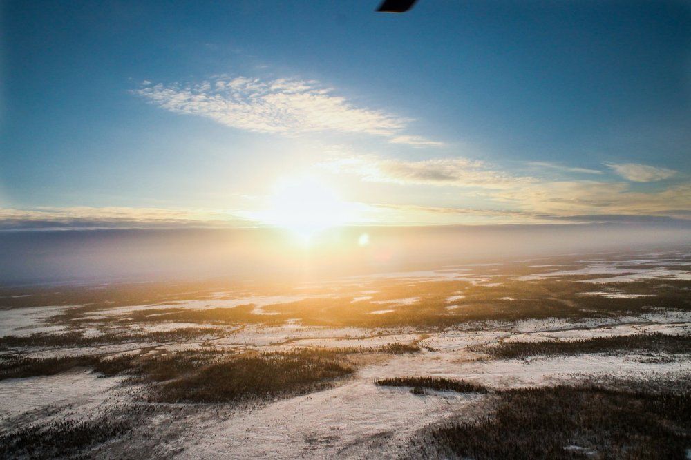 Подходит фронт