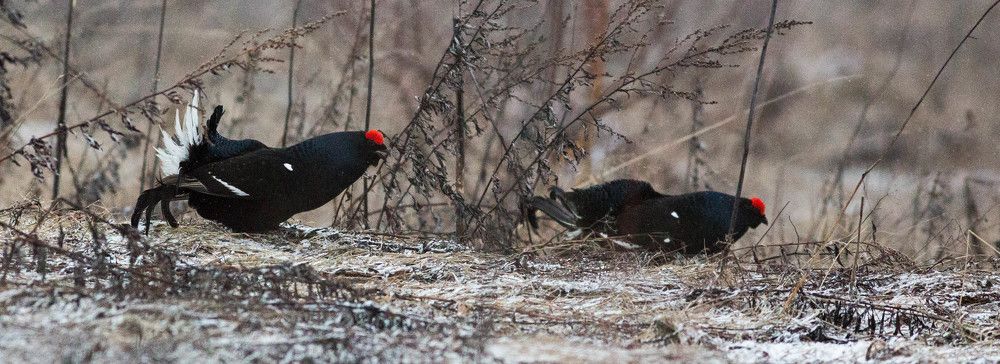 И враг бежит!!!