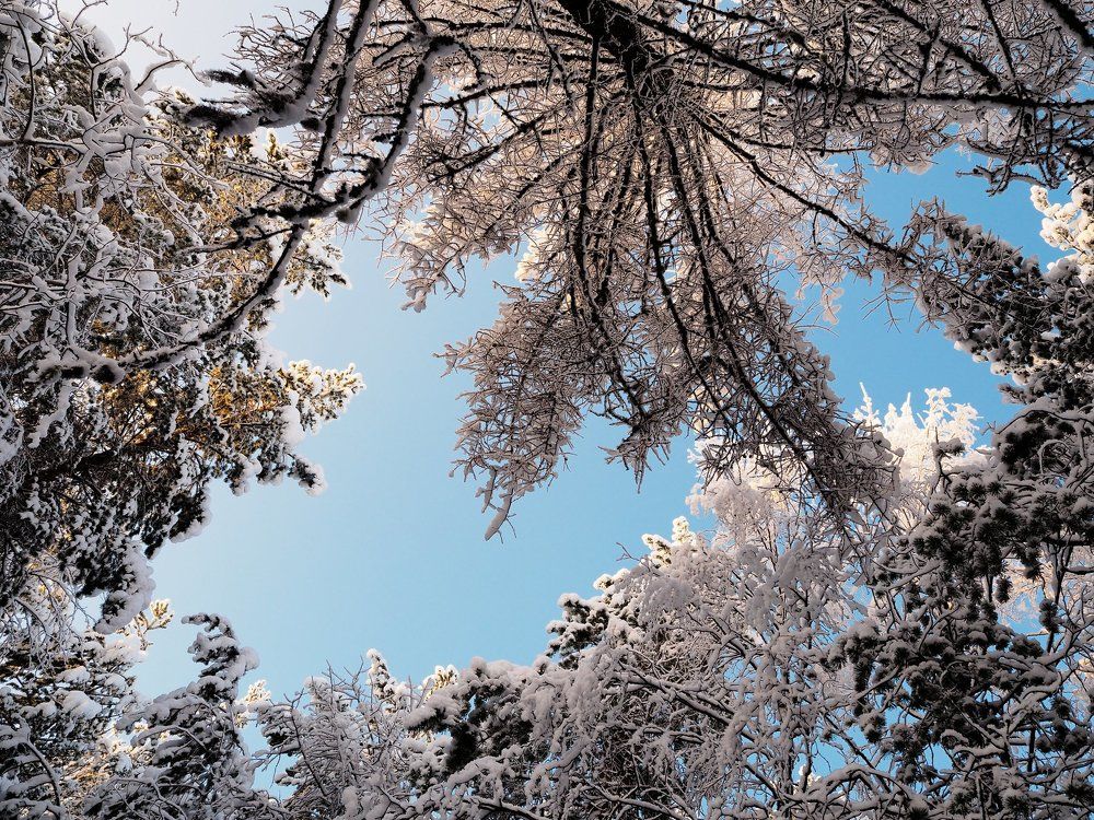 Зимнее небо .