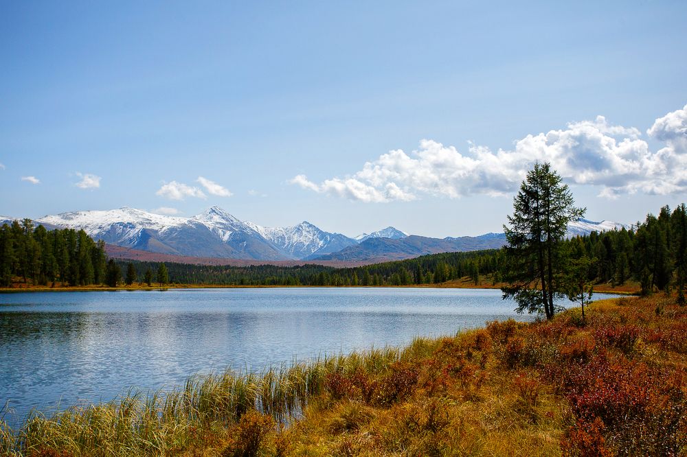 Манящие вершины