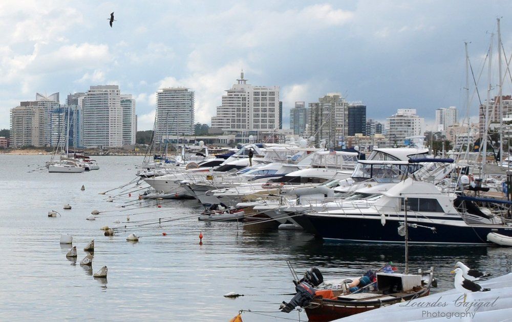 Punta del Este Port