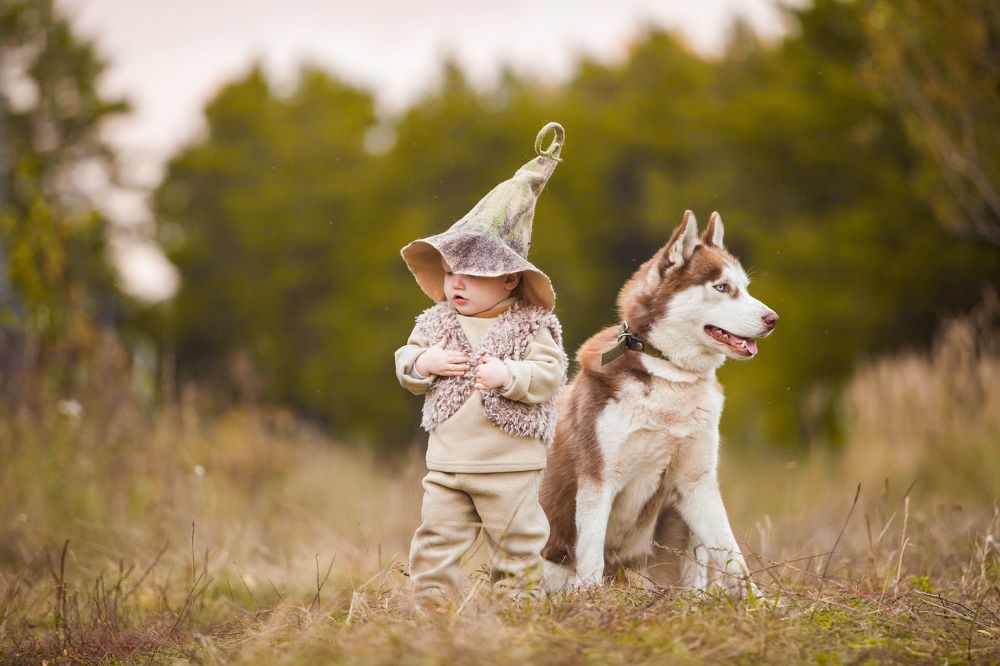 Лесные друзья