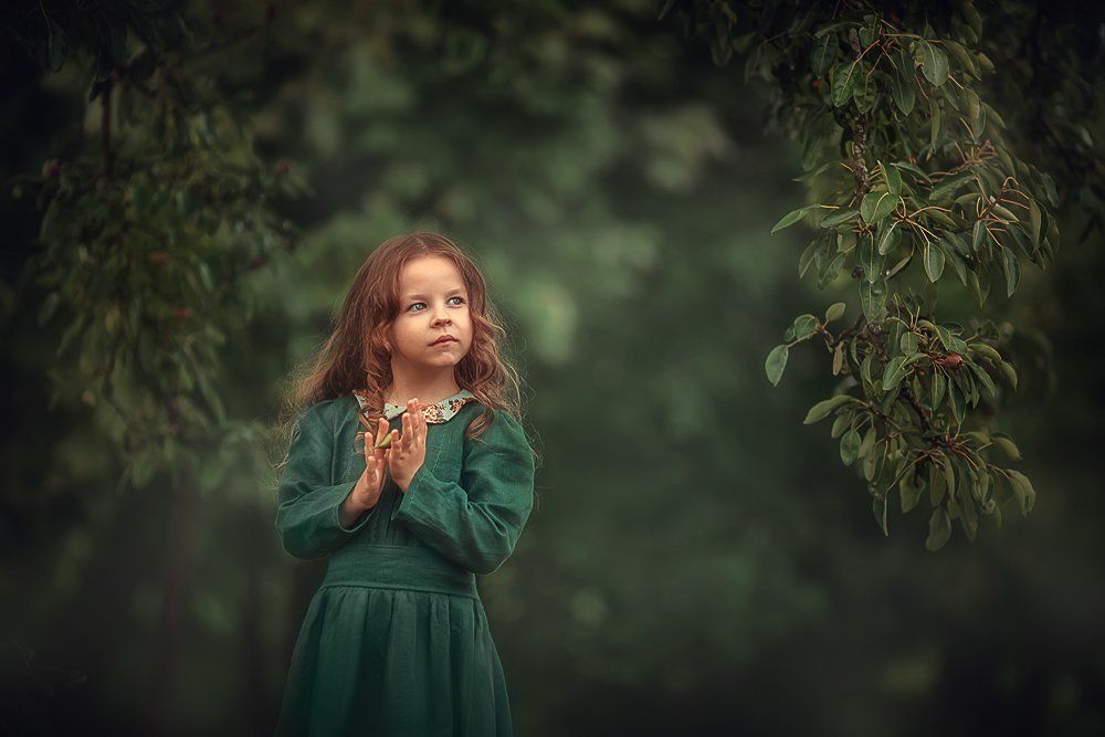 В таинственном саду