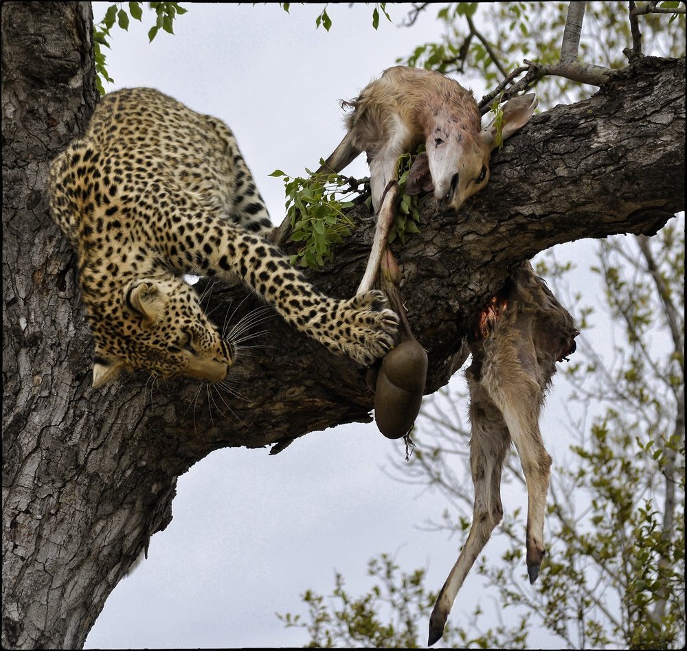 Недетские игры