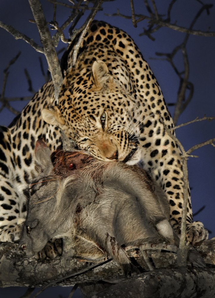 Ужин альфреско