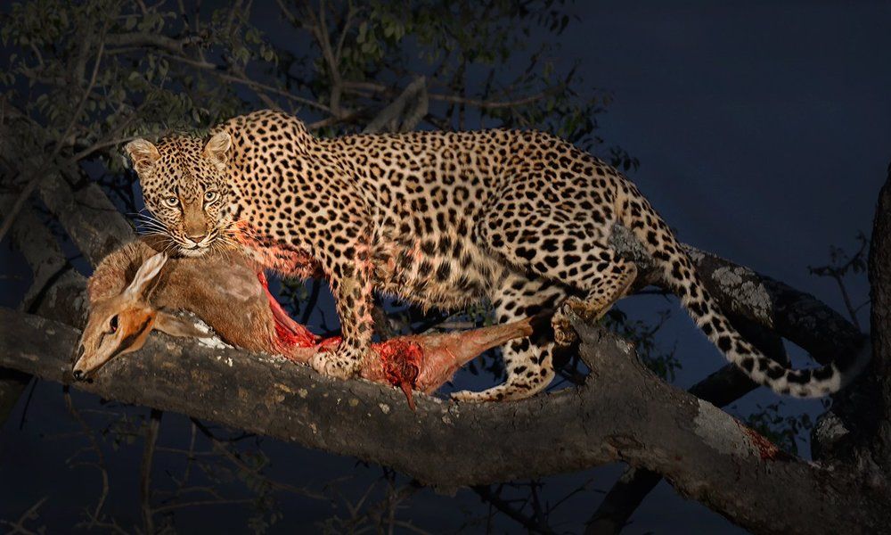 Я не делюсь добычей