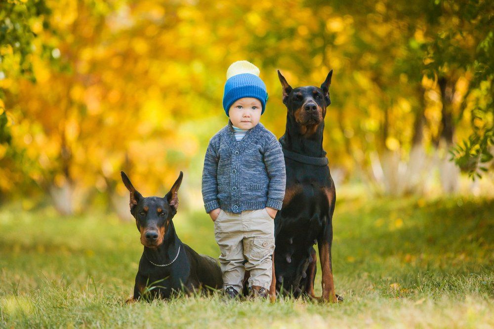 Вечерняя прогулка