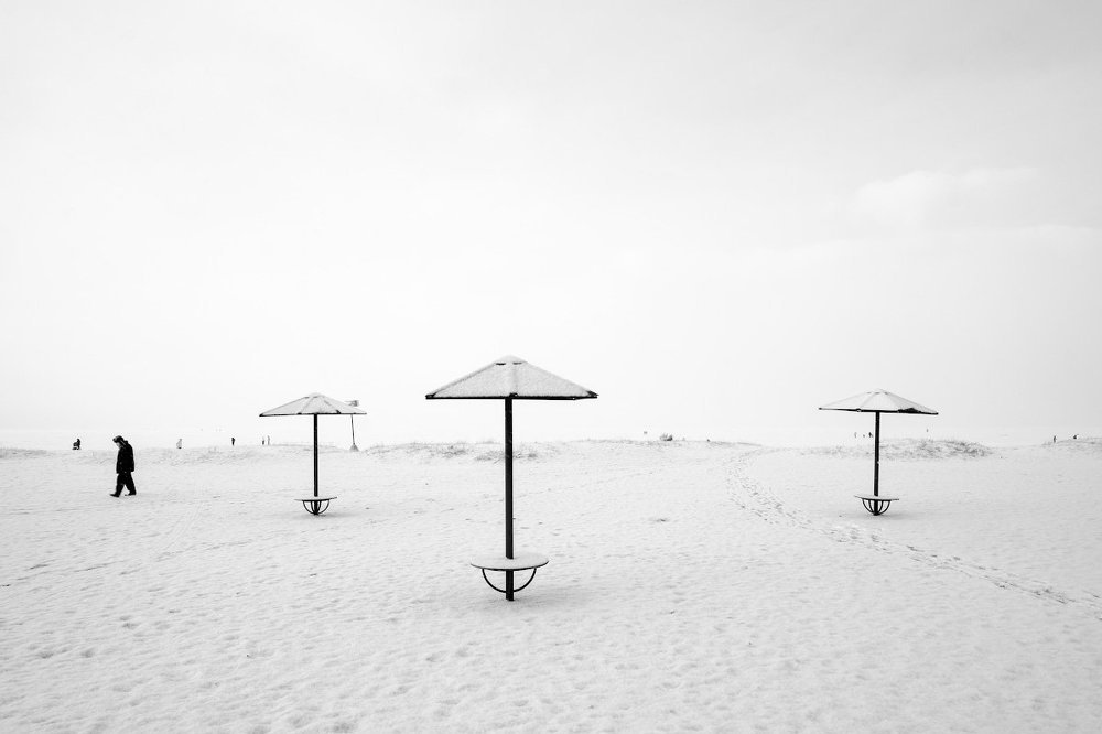 Зимние грибы