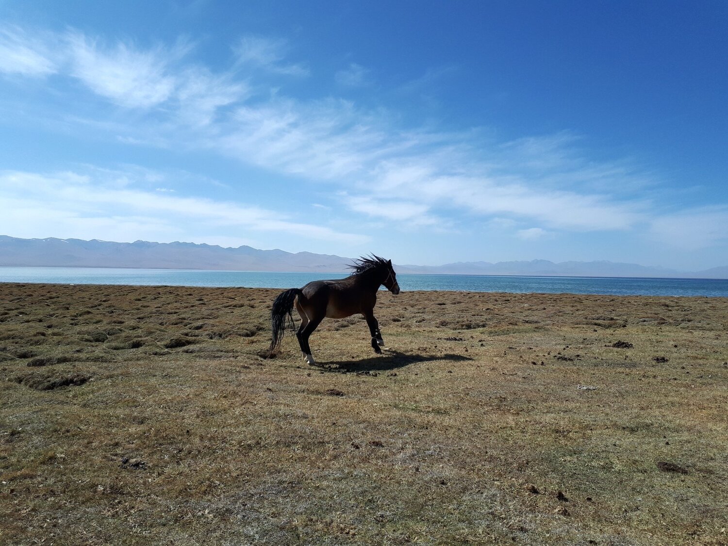 Freedom