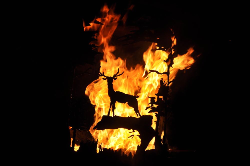 Пожар в тайге