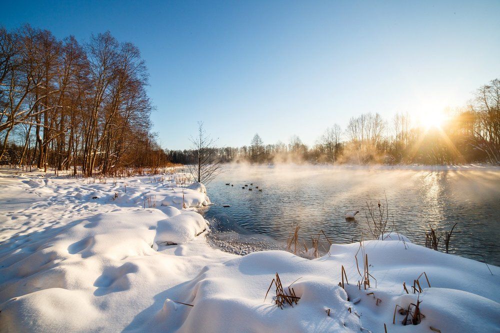 Морозным утром на озере