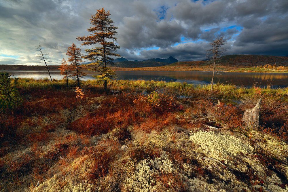 Осень у озера...