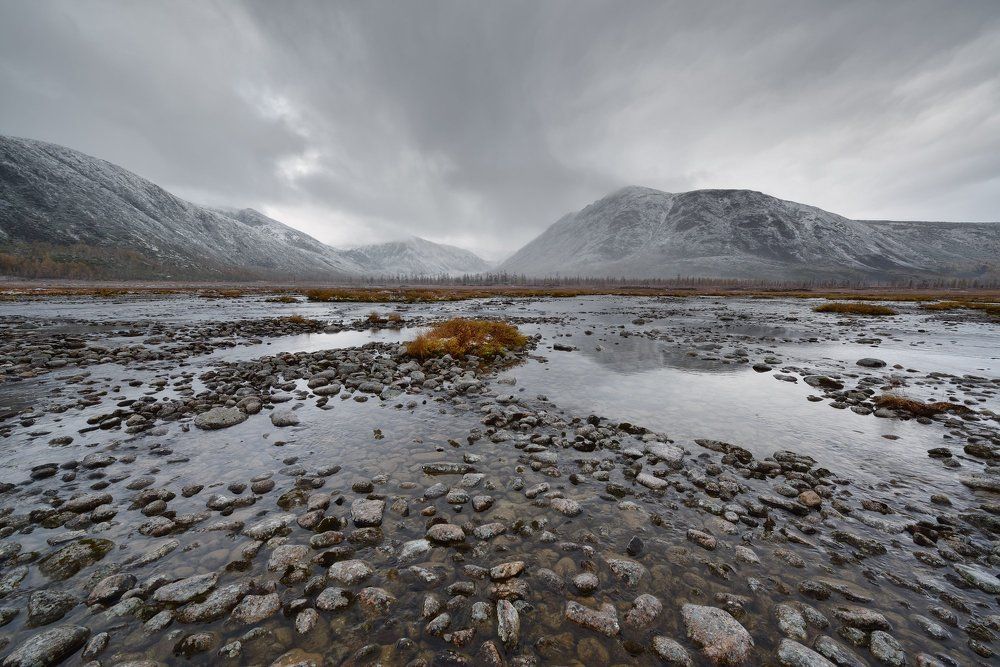У Студёного студёно...