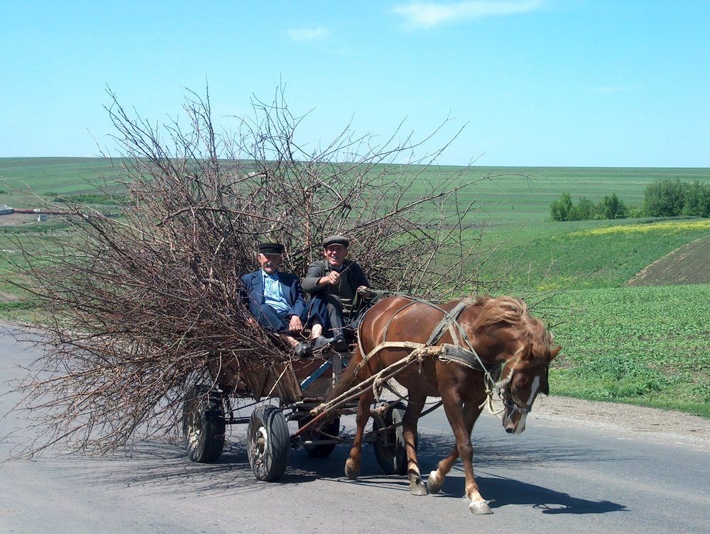 Мы за экологию!