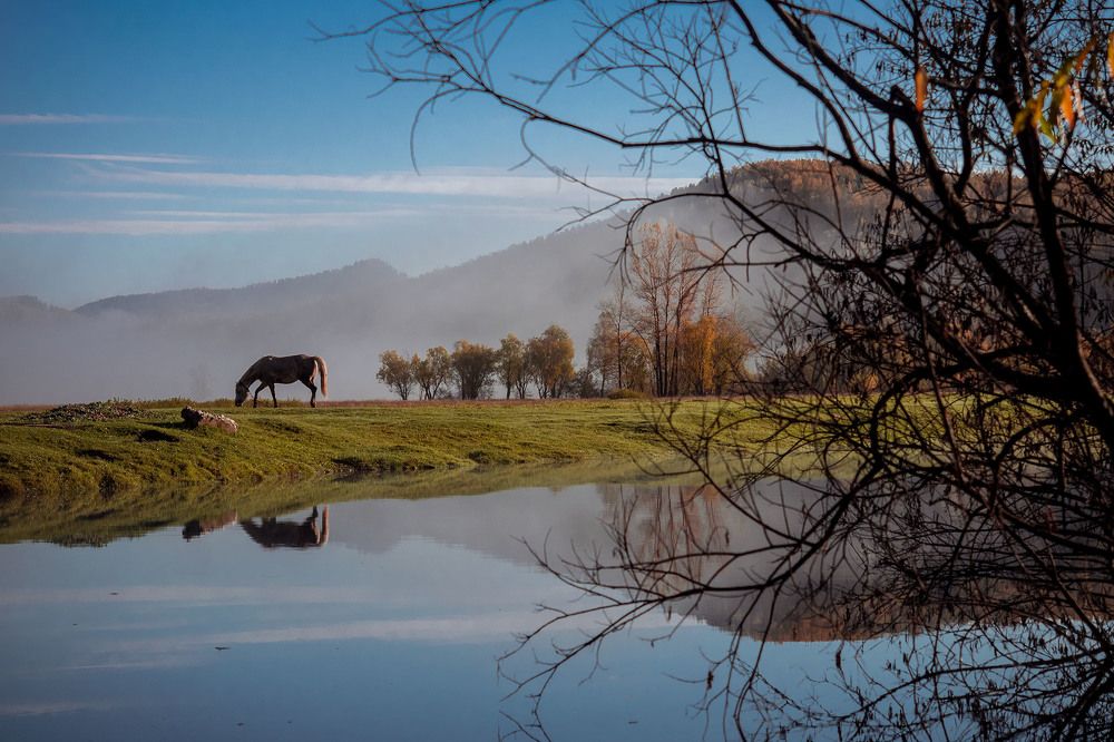 Осеннее утро