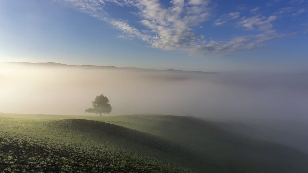 Туманное утро