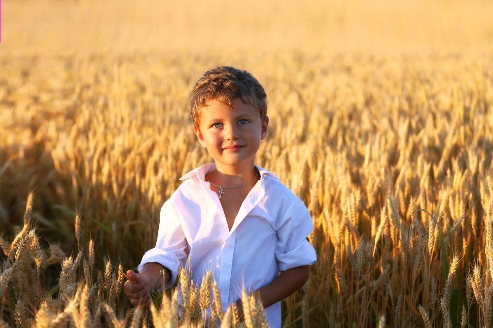 русское поле