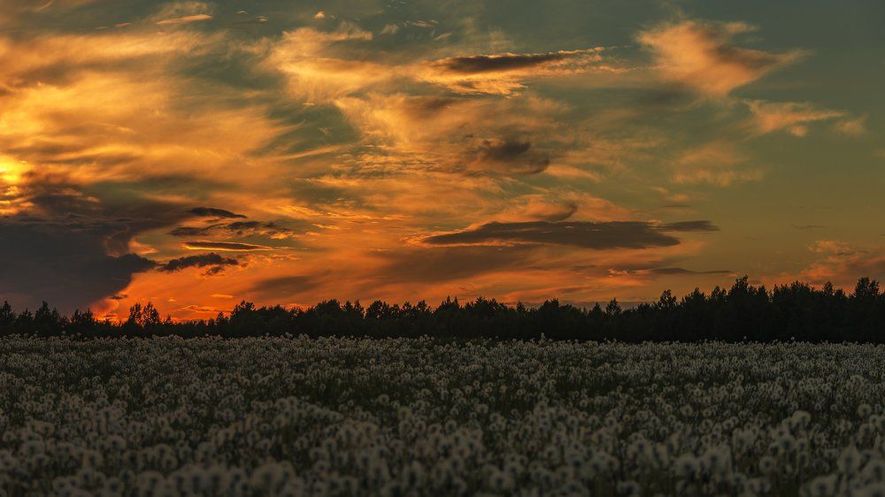 Photograph by Кожевников Сергей