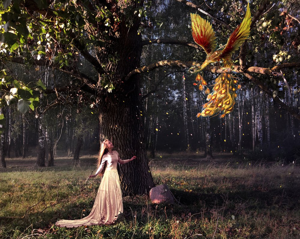 Сказка о волшебной птице