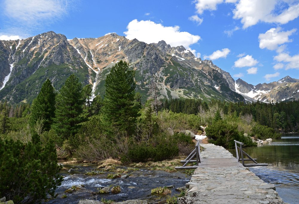 Дорога в горную страну