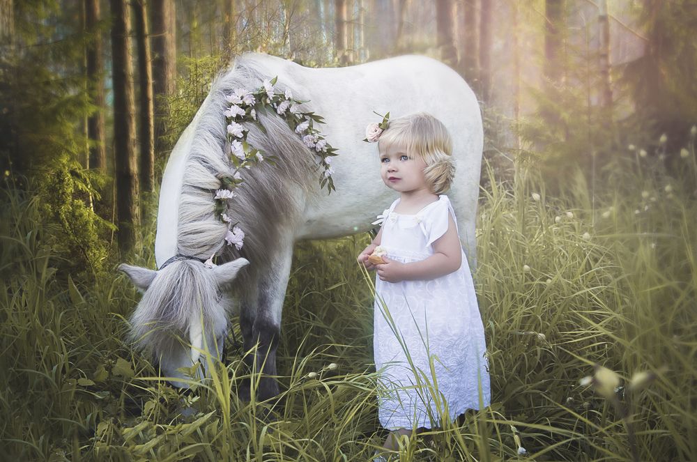 Лесная сказка