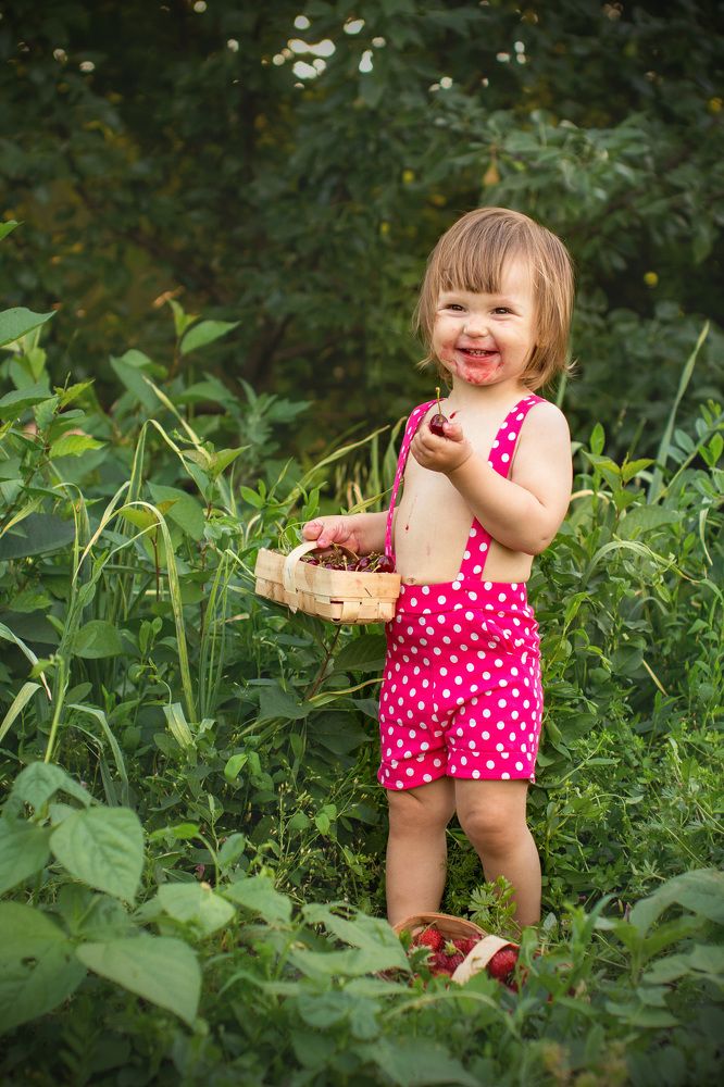 Одну ягодку беру, на другую смотрю, третью примечаю, а четвертая мерещится!