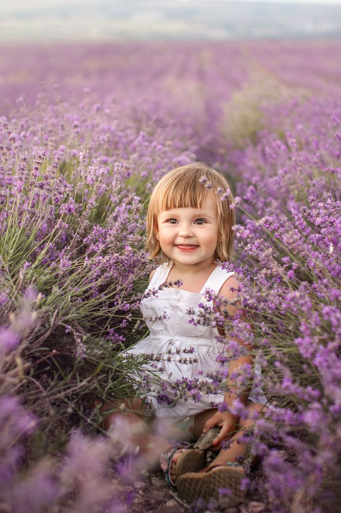 Лавандовый рай