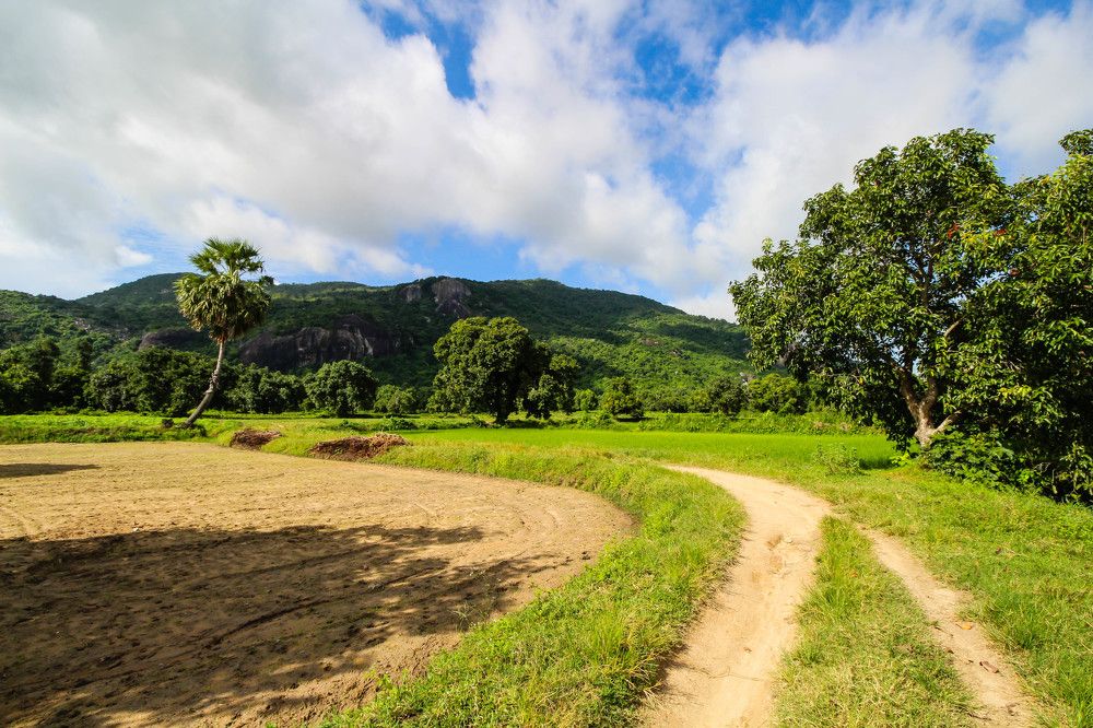 Curves in countryside