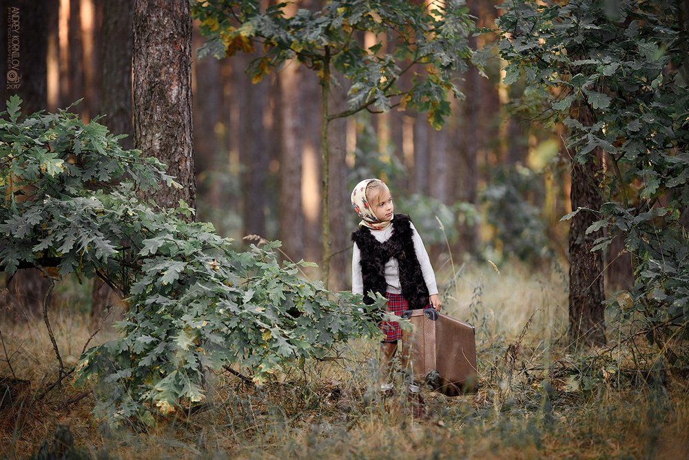 Дорога домой