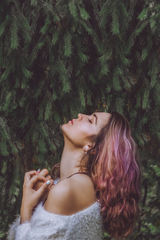 Розовый лес