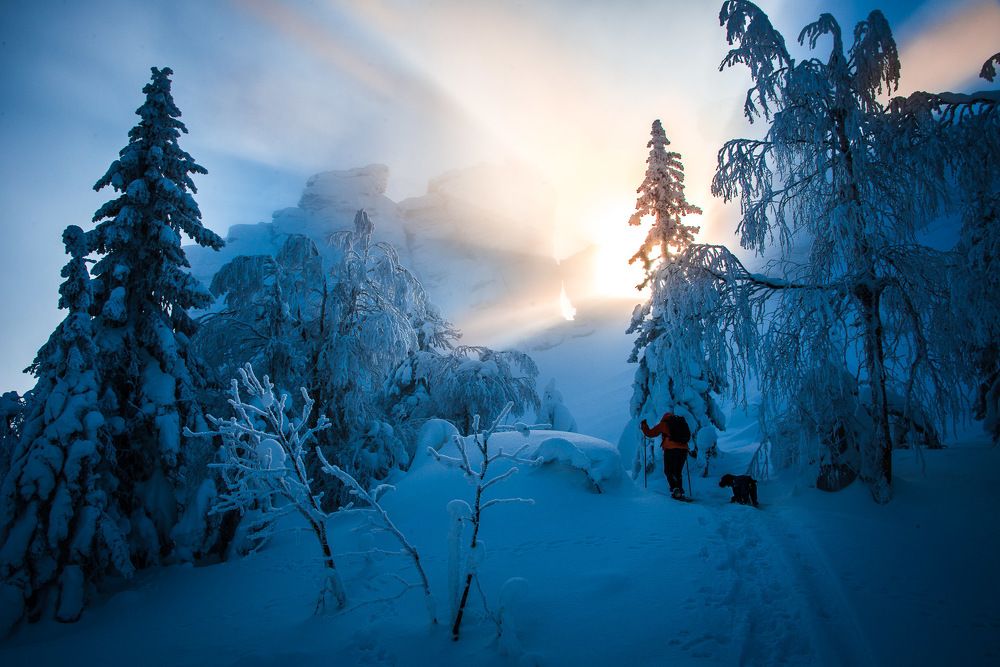 Туманный рассвет