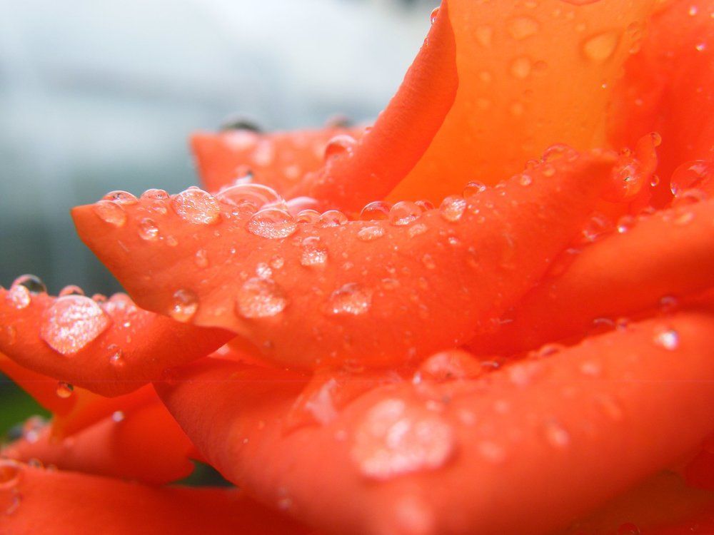 Photo #1956299