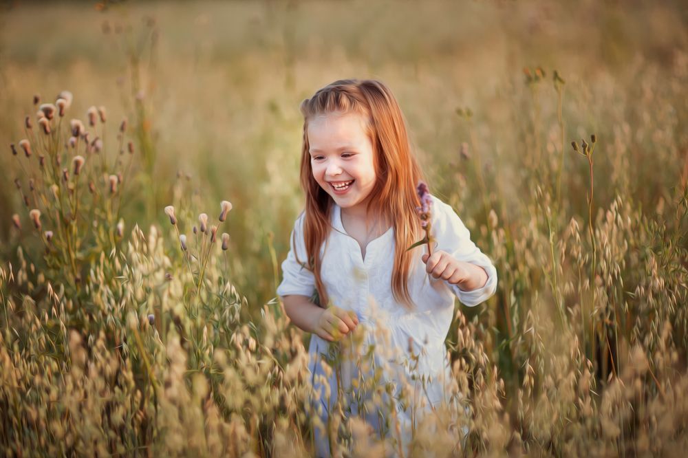 Овсяное поле