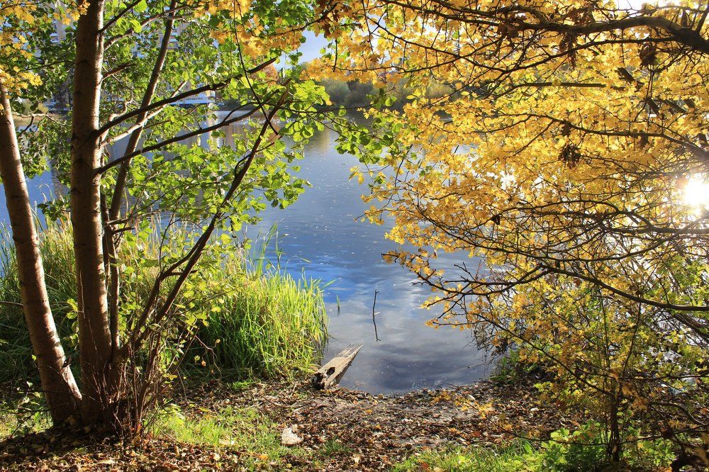 осенняя мелодия