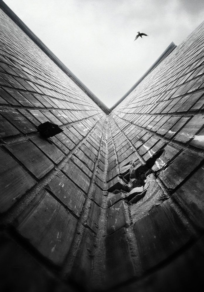 Photograph by аndrei