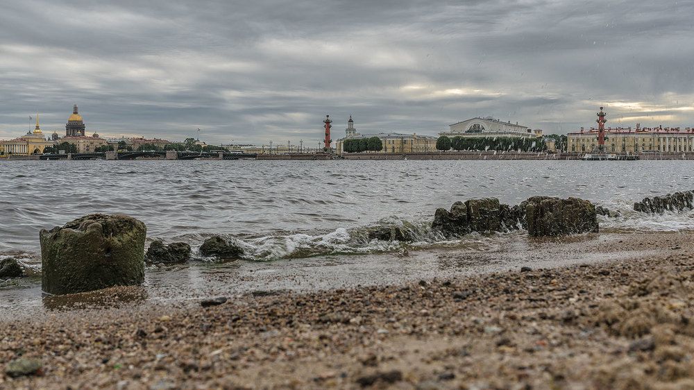 Невские берега.