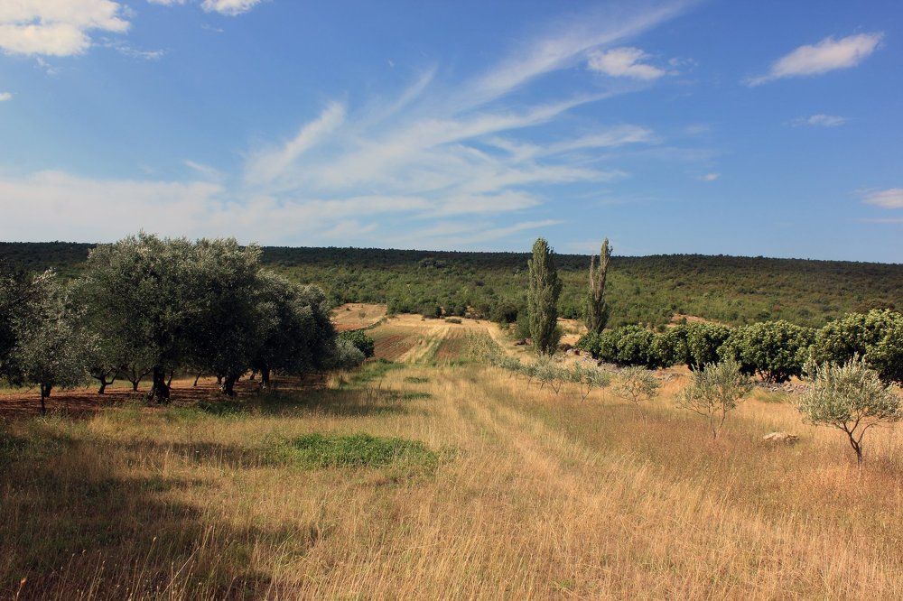 Path to the fields