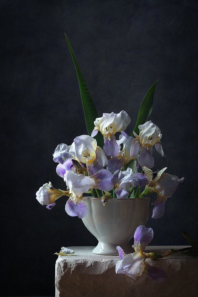 Photograph by Курочкина Диана