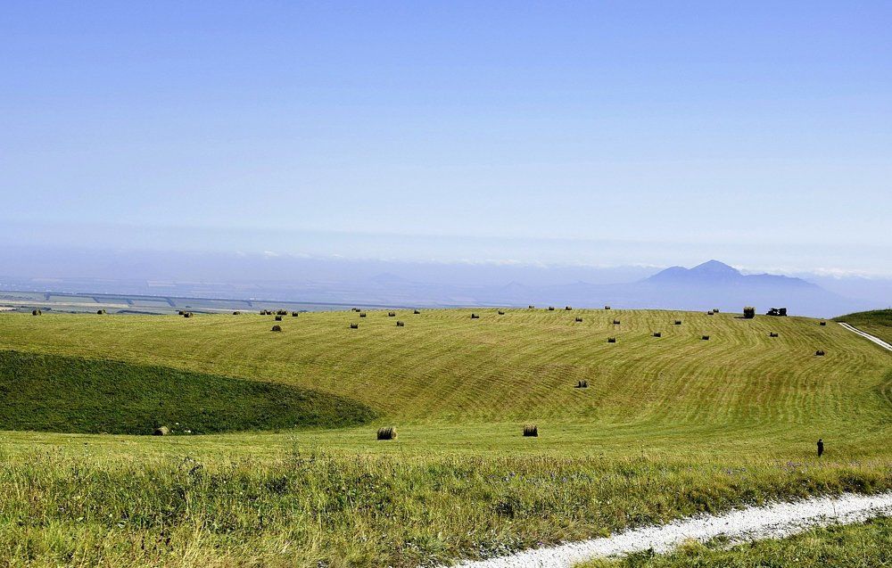 Заготовки на зиму